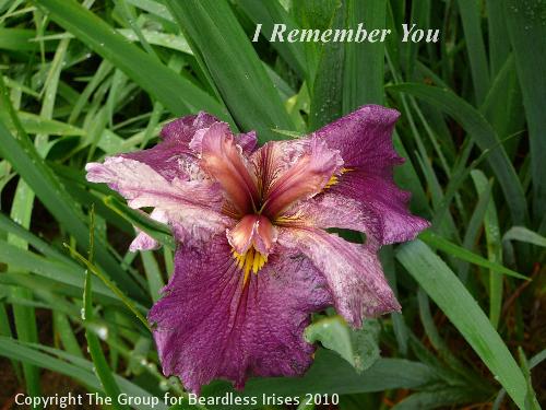 I Remember You 